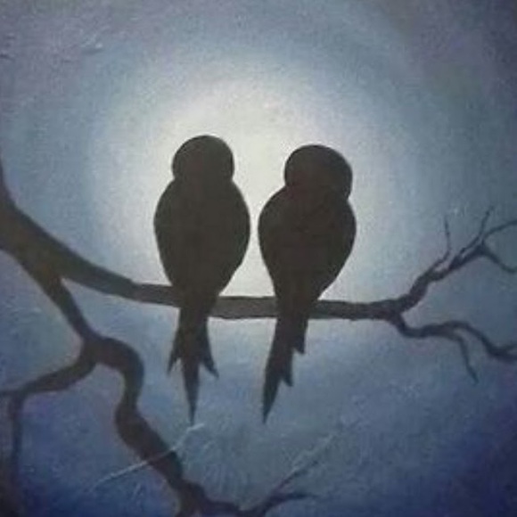 Meet your Posher, Redouane - Picture 1 of 1